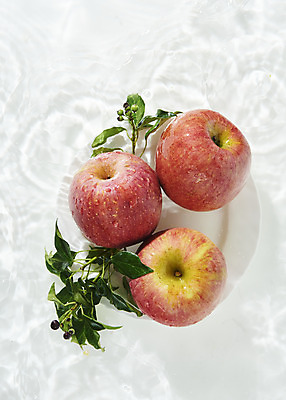 포토 JPG 스튜디오촬영 접시 물결 백그라운드 잎 과일 실내 사람없음 세명 물 하이앵글 흰색 사과 오브젝트 흰배경 아이비 싱그러움 플랫레이 국내포토 자연요소 식물 식기 뷰포인트 컬러 사람 내부 플랫 파일형식