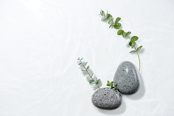 포토 JPG 스튜디오촬영 물결 백그라운드 실내 사람없음 물 하이앵글 조약돌 흰색 오브젝트 흰배경 아이비 싱그러움 플랫레이 국내포토 자연요소 식물 뷰포인트 컬러 내부 돌_바위 플랫 파일형식