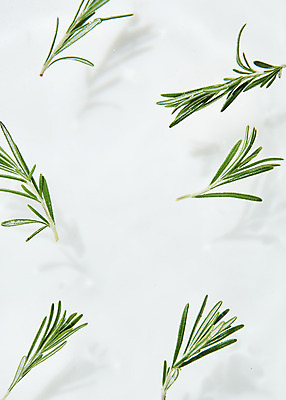 포토 JPG 스튜디오촬영 물결 백그라운드 실내 사람없음 물 하이앵글 흰색 오브젝트 흰배경 로즈메리 싱그러움 플랫레이 국내포토 자연요소 뷰포인트 컬러 내부 플랫 허브 파일형식