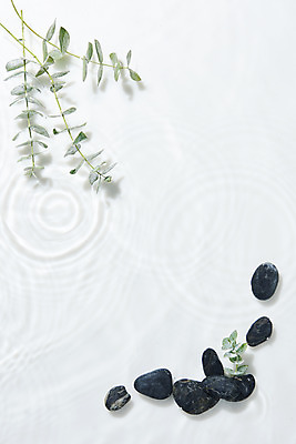 포토 JPG 스튜디오촬영 물결 백그라운드 실내 사람없음 물 하이앵글 여러개 조약돌 흰색 오브젝트 흰배경 싱그러움 유칼립투스 플랫레이 국내포토 자연요소 식물 뷰포인트 컬러 다수 내부 돌_바위 플랫 파일형식