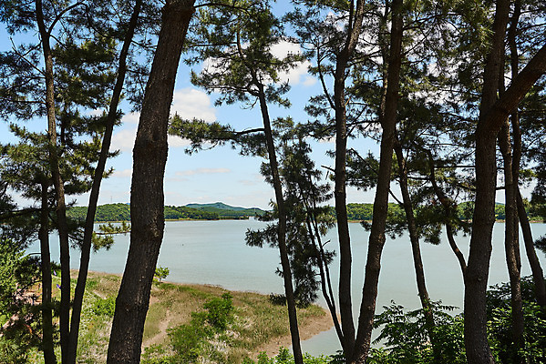 포토 JPG 주간 나무 여행 한국건축 유적지 하늘 풍경 사람없음 야외 관광지 봄 문화재 역사 한국사 강화도 국내여행 명승지 사적지 강화덕진진 덕진돈대 국내포토 자연요소 식물 계절 건축 고건축 인천 파일형식 돈대