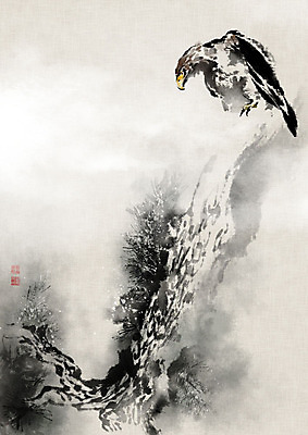 PSD 한마리 일러스트 캘리그라피 조류 붓터치 사람없음 도장 안개 소나무 동양화 한지 독수리 번짐 솔잎 낙관 노송 노송도 국내일러스트 나무 동물 1 종이 잎 날씨 미술 그림 파일형식 효과