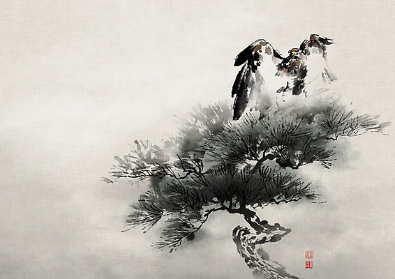 PSD 한마리 일러스트 캘리그라피 조류 붓터치 사람없음 도장 안개 소나무 동양화 한지 독수리 번짐 솔잎 낙관 노송 노송도 국내일러스트 나무 동물 1 종이 잎 날씨 미술 그림 파일형식 효과