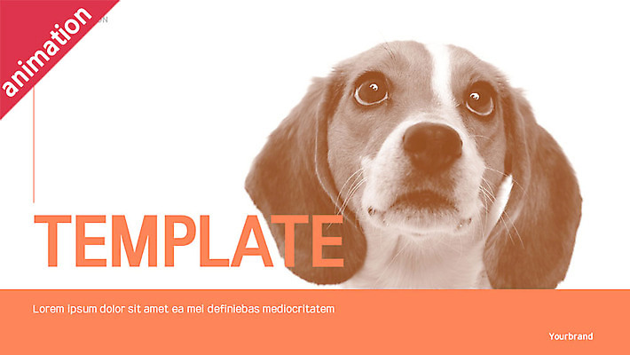 전신 템플릿 여자 반려견 그래프 한명 사람 20대 성인 반려동물 세트 주황색 한국인 강아지 PPT 프레젠테이션 문서템플릿 문서 반려 성인여자한명만 애니형PPT 9P 이미지템플릿 동물 1 컬러 동양인 청년 개 여자한명만 성인여자만 파일형식