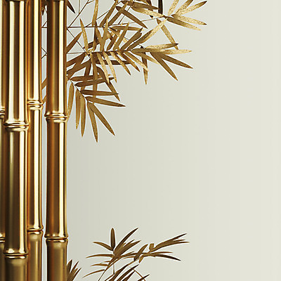 PSD 식물 편집이미지 백그라운드 잎 프레임 사람없음 3D 금속 금색 황금 대나무 금박 대나무잎 이미지편집 편집3D 나무 컬러 재질 디지털합성 파일형식