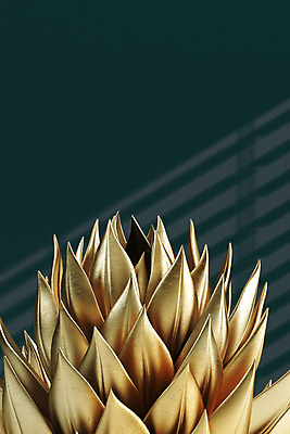 PSD 식물 편집이미지 백그라운드 잎 프레임 사람없음 3D 금속 금색 황금 금박 다육식물 이미지편집 편집3D 컬러 재질 디지털합성 파일형식