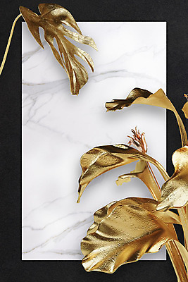 PSD 식물 편집이미지 백그라운드 잎 나뭇잎 사각프레임 프레임 사람없음 3D 금속 금색 황금 대리석 금박 이미지편집 편집3D 컬러 재료 재질 사각형 디지털합성 파일형식