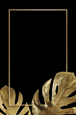 PSD 식물 편집이미지 백그라운드 잎 나뭇잎 사각프레임 프레임 사람없음 3D 금속 금색 황금 금박 몬스테라 이미지편집 편집3D 컬러 재질 사각형 디지털합성 파일형식