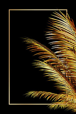 PSD 식물 편집이미지 백그라운드 잎 나뭇잎 사각프레임 프레임 사람없음 3D 금속 금색 황금 금박 이미지편집 편집3D 컬러 재질 사각형 디지털합성 파일형식