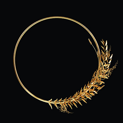 PSD 식물 편집이미지 꽃 백그라운드 잎 나뭇잎 프레임 사람없음 3D 금속 금색 벼 원형 황금 원형프레임 금박 이미지편집 편집3D 도형 컬러 재질 곡류 디지털합성 파일형식