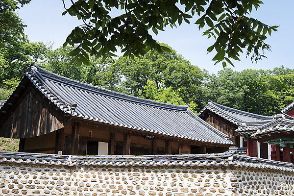 포토 JPG 주간 한국전통 여행 유적지 나뭇잎 풍경 사람없음 야외 관광지 세계문화유산 문화재 역사 한국사 조선시대 연천 숭의전 국내포토 자연요소 전통 고건축 잎 한국 경기도 사당 파일형식