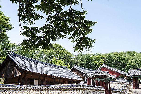 포토 JPG 주간 한국전통 여행 유적지 나뭇잎 풍경 사람없음 야외 관광지 세계문화유산 문화재 역사 한국사 조선시대 연천 숭의전 국내포토 자연요소 전통 고건축 잎 한국 경기도 사당 파일형식