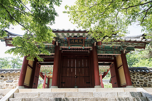 포토 JPG 주간 나무 한국전통 여행 유적지 출입구 풍경 사람없음 야외 관광지 계단 세계문화유산 문화재 역사 한국사 조선시대 연천 숭의전 국내포토 자연요소 식물 전통 고건축 한국 경기도 사당 파일형식