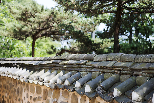 포토 JPG 주간 한국전통 여행 유적지 풍경 사람없음 야외 관광지 세계문화유산 문화재 소나무 역사 한국사 조선시대 기와담장 연천 숭의전 국내포토 자연요소 나무 전통 고건축 한국 기와 담장 경기도 사당 파일형식
