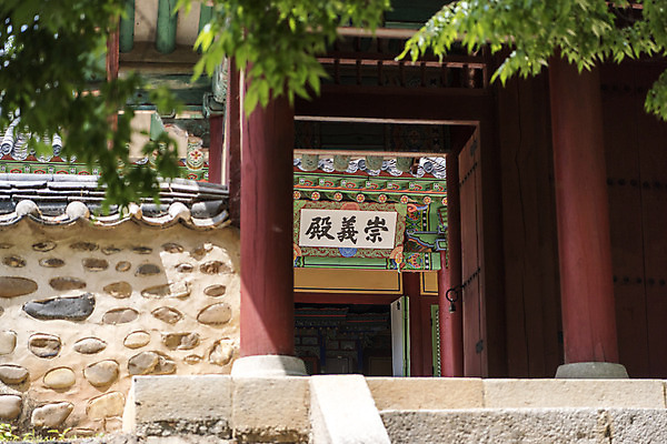 포토 JPG 주간 한국전통 여행 유적지 나뭇잎 출입구 풍경 사람없음 야외 관광지 세계문화유산 문화재 역사 한국사 조선시대 연천 숭의전 국내포토 자연요소 전통 고건축 잎 한국 경기도 사당 파일형식