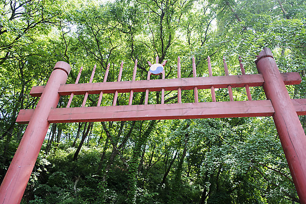 포토 JPG 주간 나무 한국전통 로우앵글 여행 유적지 풍경 사람없음 야외 관광지 세계문화유산 문화재 역사 한국사 조선시대 홍살문 연천 숭의전 국내포토 자연요소 식물 전통 뷰포인트 고건축 한국 전통문 경기도 사당 파일형식