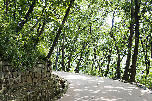 포토 JPG 주간 나무 한국전통 길 여행 유적지 풍경 사람없음 야외 관광지 세계문화유산 문화재 역사 한국사 조선시대 연천 숭의전 국내포토 자연요소 식물 전통 고건축 한국 경기도 사당 파일형식