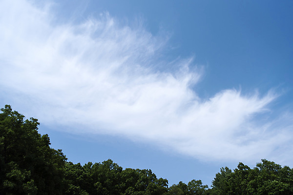 포토 JPG 주간 나무 구름 한국전통 여행 유적지 하늘 풍경 사람없음 야외 관광지 세계문화유산 문화재 역사 신라 한국사 연천 연천경순왕릉 국내포토 자연요소 식물 전통 고건축 한국 경기도 왕릉 파일형식
