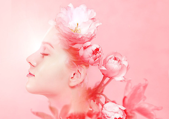PSD 서양인 외국인 편집이미지 여자 꽃 분홍색 한명 사람 20대 성인 뷰티 눈감음 순수 목련 다중노출 성인여자한명만 이미지편집 식물 1 컬러 컨셉 모션 촬영기법 인종 청년 여자한명만 성인여자만 파일형식