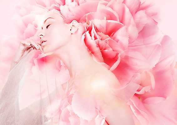 PSD 서양인 외국인 편집이미지 여자 꽃 분홍색 한명 사람 20대 성인 뷰티 눈감음 순수 다중노출 성인여자한명만 이미지편집 식물 1 컬러 컨셉 모션 촬영기법 인종 청년 여자한명만 성인여자만 파일형식