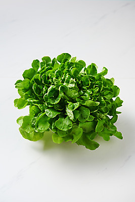 포토 JPG 스튜디오촬영 채소 식재료 실내 사람없음 신선 흰배경 채식 비타민 건강식 섬유질 그린오크 국내포토 음식 백그라운드 내부 흰색 상추 영양소 파일형식