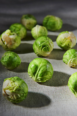 포토 JPG 스튜디오촬영 채소 식재료 실내 사람없음 여러개 신선 채식 비타민 건강식 방울양배추 섬유질 국내포토 음식 다수 내부 양배추 영양소 파일형식