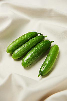 포토 JPG 스튜디오촬영 채소 식재료 오이 실내 사람없음 여러개 신선 천 채식 비타민 건강식 섬유질 미니오이 국내포토 음식 다수 내부 직물 영양소 파일형식