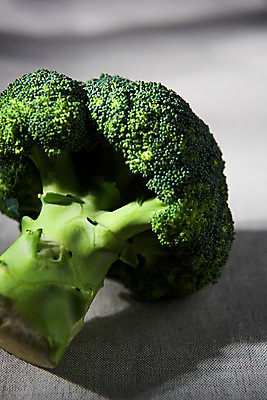 포토 JPG 스튜디오촬영 채소 식재료 실내 근접촬영 사람없음 여러개 신선 브로콜리 천 채식 비타민 건강식 섬유질 국내포토 음식 뷰포인트 다수 내부 직물 영양소 파일형식