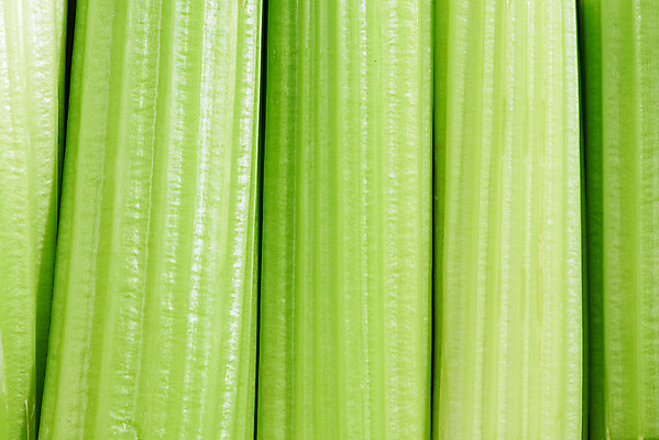 포토 JPG 스튜디오촬영 채소 식재료 실내 근접촬영 사람없음 여러개 신선 채식 비타민 샐러리 건강식 섬유질 국내포토 음식 뷰포인트 다수 내부 영양소 파일형식