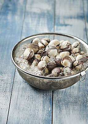 포토 JPG 스튜디오촬영 실내 건강 사람없음 파란색 얼음 신선 채망 파란배경 꼬막 제철 제철음식 아미노산 나무배경 국내포토 자연요소 음식 컬러 백그라운드 주방용품 어패류 내부 파일형식