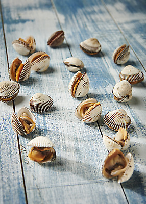 포토 JPG 스튜디오촬영 실내 건강 사람없음 파란색 신선 파란배경 꼬막 제철 제철음식 아미노산 나무배경 국내포토 음식 컬러 백그라운드 어패류 내부 파일형식