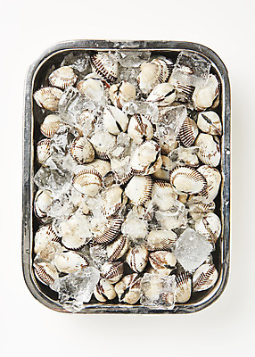 포토 JPG 스튜디오촬영 쟁반 실내 건강 사람없음 하이앵글 얼음 신선 흰배경 꼬막 제철 플랫레이 제철음식 아미노산 국내포토 자연요소 음식 뷰포인트 백그라운드 어패류 내부 흰색 플랫 파일형식