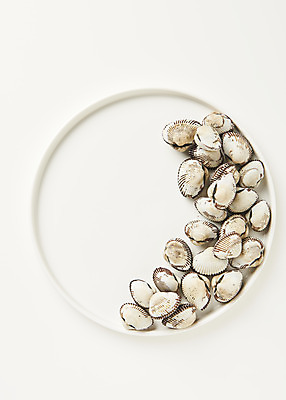 포토 JPG 스튜디오촬영 접시 실내 건강 사람없음 하이앵글 신선 흰배경 꼬막 제철 플랫레이 제철음식 아미노산 국내포토 식기 음식 뷰포인트 백그라운드 어패류 내부 흰색 플랫 파일형식