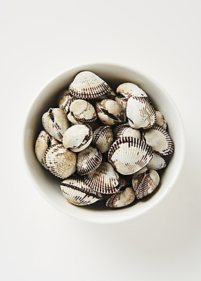 포토 JPG 스튜디오촬영 실내 건강 사람없음 하이앵글 신선 흰배경 꼬막 제철 플랫레이 제철음식 아미노산 국내포토 음식 뷰포인트 백그라운드 어패류 내부 흰색 플랫 파일형식