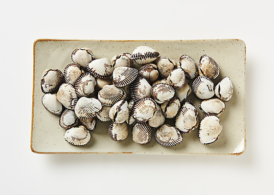 포토 JPG 스튜디오촬영 접시 실내 건강 사람없음 하이앵글 신선 흰배경 꼬막 제철 플랫레이 제철음식 아미노산 국내포토 식기 음식 뷰포인트 백그라운드 어패류 내부 흰색 플랫 파일형식