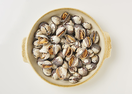 포토 JPG 스튜디오촬영 접시 실내 건강 사람없음 하이앵글 신선 흰배경 꼬막 제철 플랫레이 제철음식 아미노산 국내포토 식기 음식 뷰포인트 백그라운드 어패류 내부 흰색 플랫 파일형식