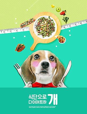 PSD 동물 편집이미지 한마리 응시 반려견 포크 다이어트 채소 줄자 사람없음 초록색 반려동물 샐러드 나이프 개 반려 식단관리 이미지편집 1 식기 시선 음식 컬러 포유류 자 건강 칼 파일형식