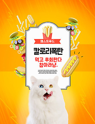 PSD 동물 편집이미지 한마리 다이어트 패스트푸드 사람없음 반려동물 주황색 고양이 햄버거 칼로리 핫도그 반려 반려묘 이미지편집 1 음식 컬러 포유류 건강 인스턴트 파일형식