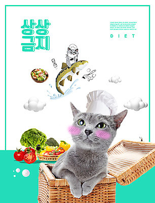 PSD 동물 편집이미지 두마리 다이어트 채소 상상 어류 사람없음 반려동물 고양이 금지 민트색 반려 반려묘 이미지편집 컬러 2 포유류 건강 수중동물 파일형식