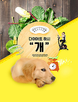 PSD 동물 편집이미지 한마리 여자 반려견 엎드리기 다이어트 채소 한명 사람 20대 성인 반려동물 운동 노란색 헬스사이클 한국인 개 체중계 반려 성인여자한명만 이미지편집 1 컬러 포유류 모션 건강 동양인 청년 운동기구 여자한명만 성인여자만 파일형식
