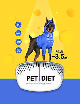PSD 동물 편집이미지 한마리 반려견 다이어트 사람없음 파란색 반려동물 운동복 노란색 개 눈금 체중계 감량 반려 이미지편집 1 옷 컬러 포유류 건강 파일형식