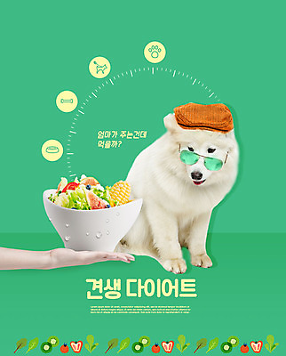 PSD 동물 편집이미지 한마리 손 응시 반려견 다이어트 채소 한손 들기 사람 신체부위 초록색 반려동물 선글라스 샐러드 개 반려 이미지편집 1 시선 안경 음식 컬러 포유류 모션 건강 파일형식