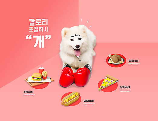 PSD 동물 편집이미지 한마리 반려견 다이어트 패스트푸드 사람없음 빨간색 반려동물 권투글러브 개 칼로리 반려 이미지편집 1 컬러 포유류 건강 글러브 인스턴트 파일형식