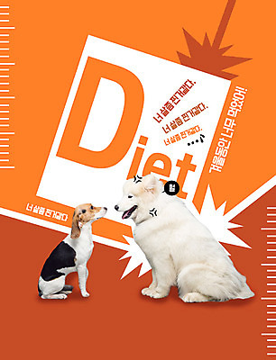 PSD 동물 편집이미지 반려견 두마리 다이어트 대화 사람없음 반려동물 주황색 개 반려 이미지편집 컬러 2 포유류 건강 말하기 파일형식