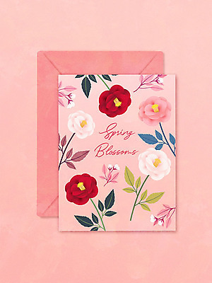 식물 손글씨 꽃 분홍색 일러스트 봄꽃 봉투 편지봉투 글자캘리그라피 사람없음 봄 편지지 봄맞이 시즌상품 보테니컬아트 국내일러스트 AI파일 계절 컬러 캘리그라피 상품 편지 파일형식 벡터