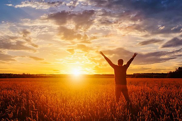 포토 JPG 해외이미지 남자 자연 하늘 한명 상반신 성인 야외 뒷모습 햇빛 태양 농경지 일몰 만세 성인남자한명만 해외포토 자연요소 1 뷰포인트 모션 사람 농장 노을 생태계 남자한명만 성인남자만 파일형식 이미지허브