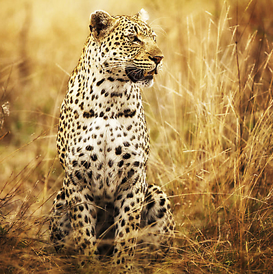 포토 JPG 해외이미지 여행 사람없음 여행객 남아프리카 해외포토 아프리카 사람 파일형식 이미지허브