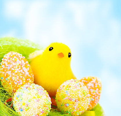 포토 JPG 해외이미지 동물 전통 디자인 계절 꽃 행복 종교 음식 밭 자연 조류 하늘 휴가 부활절 병아리 사람없음 야외 장식 초록색 파란색 컬러풀 장난감 노란색 계란 축제 치킨 페인트 봄 활발 축하 신생아 그리기 그룹 둥지 작음 강렬 국경 해외포토 식물 기념일 감정 컬러 컨셉 농업 모션 알 아기 크기 생태계 닭고기요리 파일형식 이미지허브