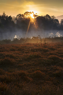 포토 JPG 해외이미지 나무 식물 구름 계절 공원 아시아 여행 백그라운드 낙엽 잎 태국 자연 하늘 휴가 산 풍경 사람없음 야외 목재 초록색 여름 파란색 뷰티 환경 맑음 침묵 신선 숲 열대우림 내추럴 삼림지대 섞기 전국 많음 해외포토 자연요소 공공시설 나라 컬러 컨셉 재료 날씨 소리 생태계 파일형식 이미지허브