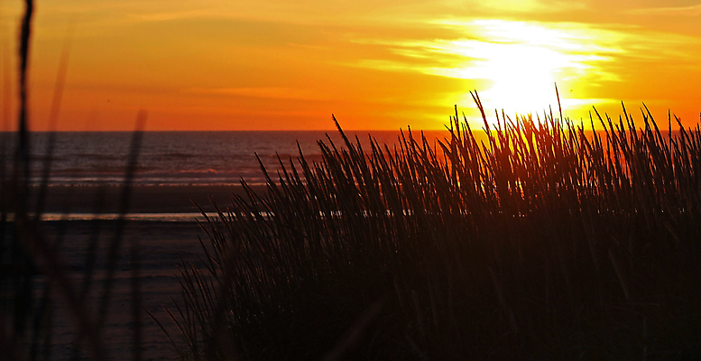 포토 JPG 해외이미지 식물 계절 유럽 모래 바다 여행 백그라운드 오렌지 자연 하늘 날씨 휴가 사람없음 야외 빨간색 초록색 물 파란색 빛 컬러풀 노란색 일출 환경 일몰 황금 모래언덕 휴양지 스칸디나비아 수평선 해외포토 자연요소 나라 컬러 과일 노을 장소 언덕 생태계 파일형식 이미지허브